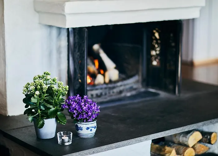 度假居 Brennabu *