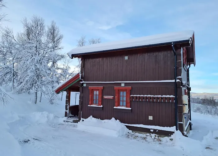 Brennabu Semesterbostad Ron